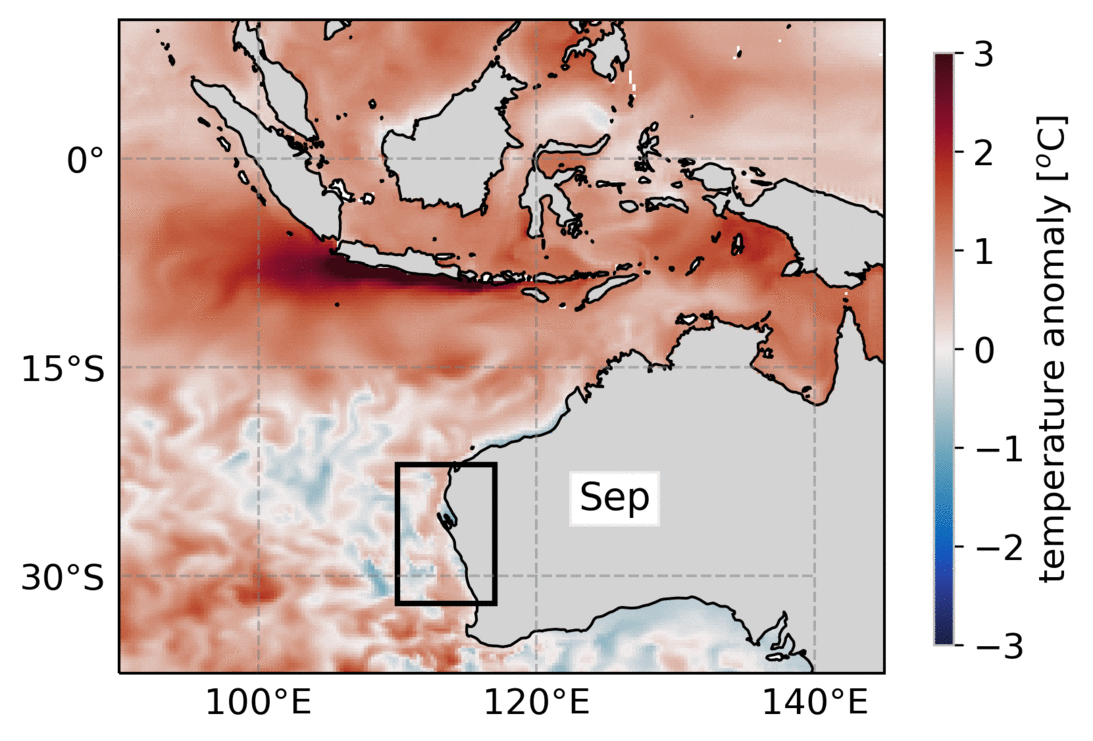 Ocean processes affect marine heatwaves at depth off the west coast of Australia during the 2011/2012 austral winter.