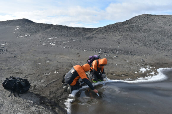 Researchers taking samples from a small pool of water.