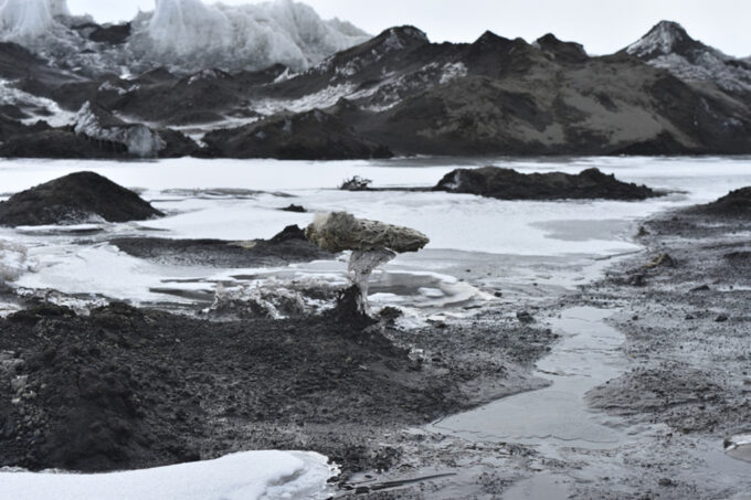 A marine sponge next to meltwater ponds.