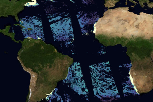 Satellite view of the Atlantic Ocean and neighboring continents with colored swirls superimposed over the ocean indicating distribution of Synechococcus phytoplankton.