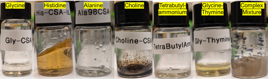 Seven samples of ionic liquids in matching jars that read, from left to right: Glycine; Histidine; Alanine; Choline; Tetrabutyl-ammonium; Glycine-Theymine; and Complex Mixture.