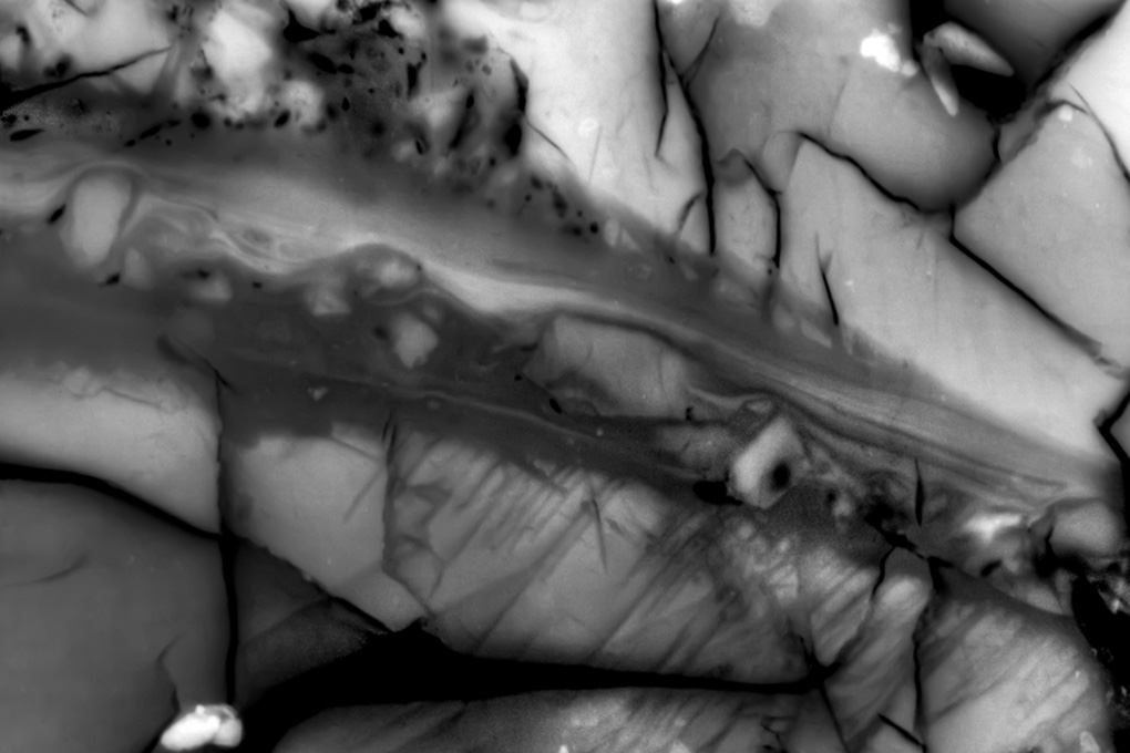 Scanning electron photomicrograph highlights a region of rock that slipped during a laboratory-induced earthquake.