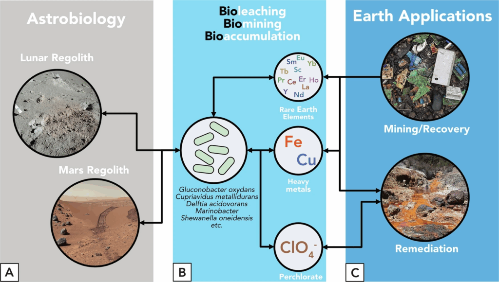 An infographic showing how Mars analog sites have shown how microbial communities are supported in extreme environments, which in turn can then be applied to Earth processes such as mining recovery and remediation.