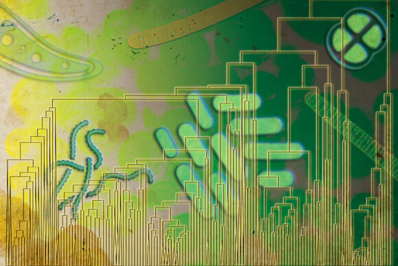 A minimalist evolutionary tree in front of stylized cyanobacteria.