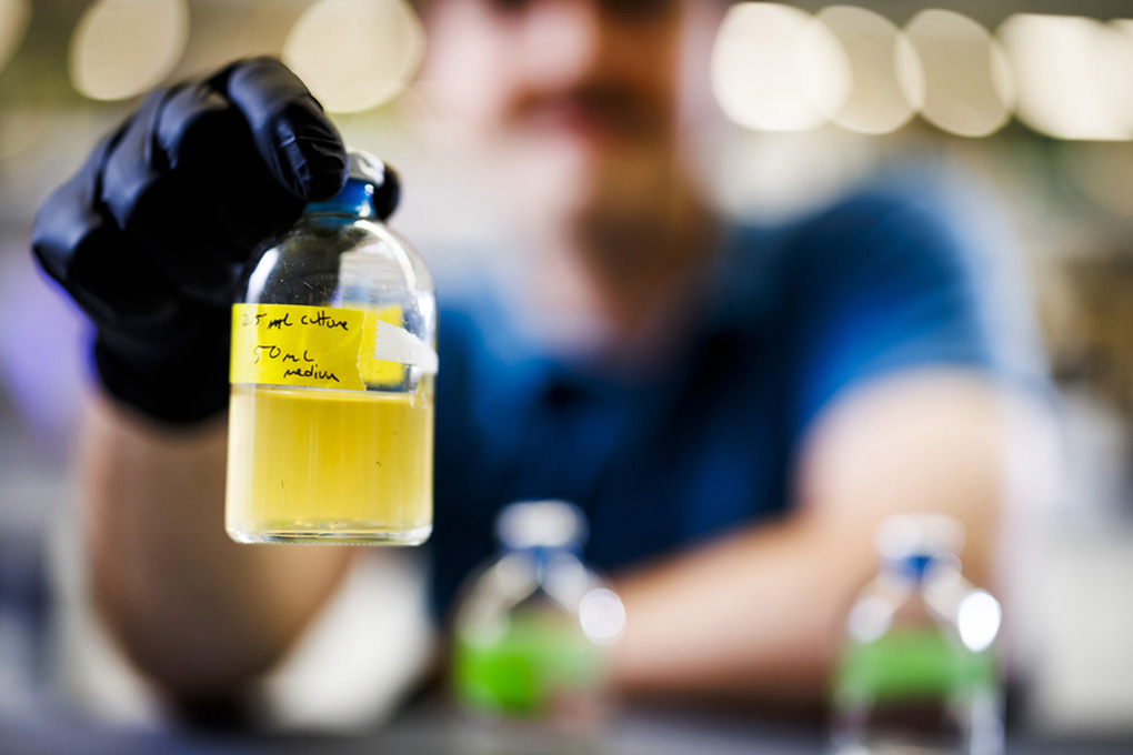 Gage Coon holds a bottle of yellow liquid with the label, “50ml Medium."