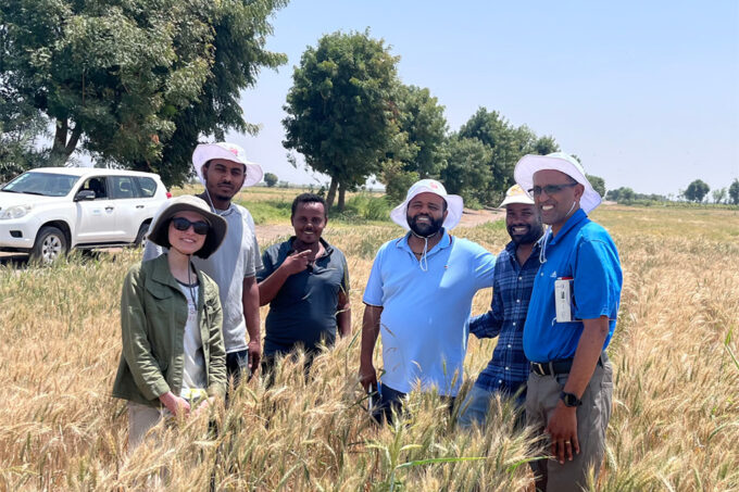 Sheila Baber stands with a group of five men in a wheat field.